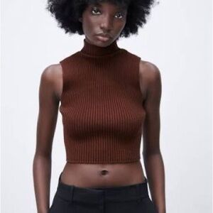 Zara Ribbed Turtleneck Top